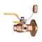 Everflow SWT Full Port Ball Valve with Cleanout and Flange, Brass 1-1/4" 895C114 - alternate 4